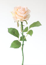 Load image into Gallery viewer, Open Silk Rose Bud in Pastel Peach Pink - 17.5" Tall

