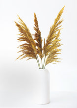 Load image into Gallery viewer, Preserved Plume Reed Grass in Aspen Gold - 36-40"
