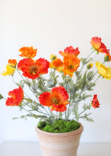 Load image into Gallery viewer, Poppy Silk Flower Bush in Orange Flame
