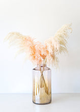 Load image into Gallery viewer, Pack of 6 - Textured Natural Pampas Grass in Pink - 20-30"
