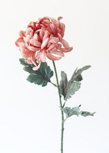Load image into Gallery viewer, Dusty Pink Mum Artificial Flower
