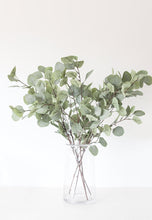 Load image into Gallery viewer, Dusty Grey Fake Silver Dollar Eucalyptus - 36.5&quot; Tall
