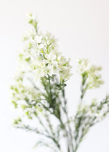 Load image into Gallery viewer, Artificial Waxflowers in White
