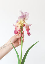 Load image into Gallery viewer, Fuchsia Real Touch Bearded Iris Flower - 32.5&quot;
