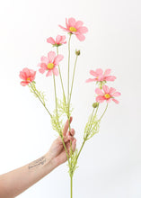 Load image into Gallery viewer, Artificial Cosmos Flowers in Pink - 3-4&quot; Blooms
