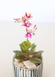 Fake Blooming Succulent Pick with Purple Flowers - 8"