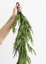Load image into Gallery viewer, SALE - Real Touch Norfolk Pine Garland - 60"

