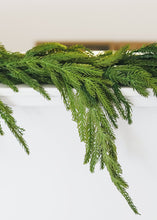 Load image into Gallery viewer, SALE - Real Touch Norfolk Pine Garland - 60"

