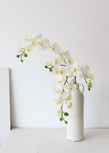 Load image into Gallery viewer, Real Touch Mini Orchid Blooms in White - 23" Tall

