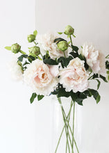 Load image into Gallery viewer, Artificial Peony Flower in Soft Pastel Pink - 30&quot; Tall
