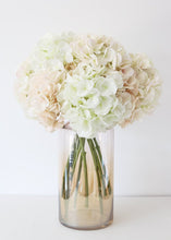 Load image into Gallery viewer, Cream Blush Oversized Artificial Hydrangea - 9&quot; Bloom
