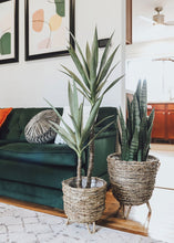 Load image into Gallery viewer, Faux Outdoor Snake Plant in Pot - 35&quot; Tall

