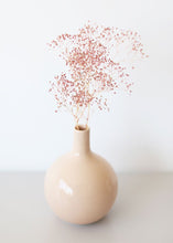 Load image into Gallery viewer, Preserved Baby's Breath in Pink
