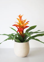 Load image into Gallery viewer, Artificial Indoor/Outdoor Bromeliad Plant in Orange Flame - 21&quot;
