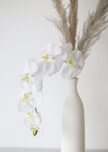 Load image into Gallery viewer, Silk Flower Phalaenopsis Orchids in White - 37" Tall
