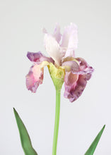 Load image into Gallery viewer, Ombre Purple Real Touch Bearded Iris Flower - 32.5"
