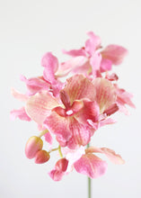 Load image into Gallery viewer, Pink Real Touch Vanda Orchid Flowers
