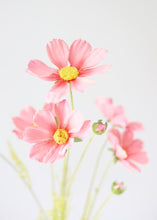 Load image into Gallery viewer, Artificial Cosmos Flowers in Pink - 3-4&quot; Blooms
