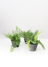 Load image into Gallery viewer, Set of 3 Fake Potted Plastic Fern Plants - 6-8" Tall
