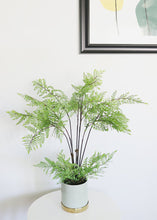 Load image into Gallery viewer, Fake Potted Fern Plant - 26&quot;
