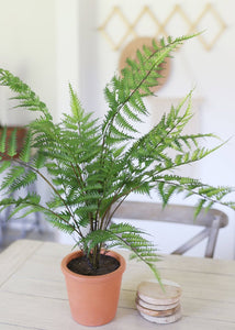 Fake Fern Plant in Terracotta Orange Pot - 26"