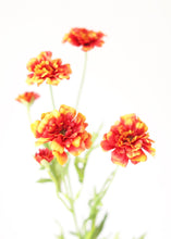 Load image into Gallery viewer, Orange Marigold Fake Flowers
