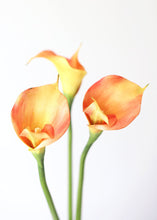 Load image into Gallery viewer, Orange Fake Foam Calla Lily Flower
