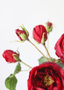 Deep Red Real Touch Charlotte English Rose