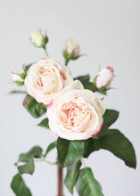 Load image into Gallery viewer, Blush Pink Artificial English Roses
