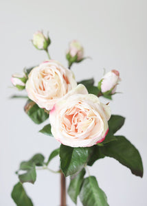 Blush Pink Artificial English Roses