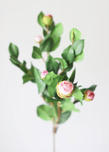 Load image into Gallery viewer, Pink Faux Artificial Camellia Rose Bud Stem

