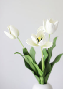 Foam Dutch Tulip Flower in White