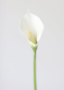 Fake Flowers Foam Calla Lily in White