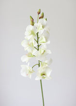 Load image into Gallery viewer, Cream White Real Touch Fake Dendrobium Orchid
