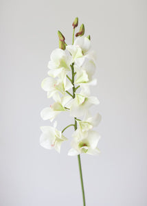 Cream White Real Touch Fake Dendrobium Orchid
