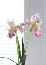 Load image into Gallery viewer, Ombre Purple Real Touch Bearded Iris Flower - 32.5"
