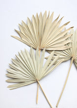 Load image into Gallery viewer, Pack of 5 - Natural Sun Palm Leaves

