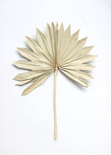 Load image into Gallery viewer, Pack of 5 - Natural Sun Palm Leaves
