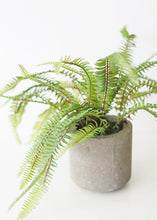 Load image into Gallery viewer, Artificial Fern Plant in Pot - 16&quot; Tall
