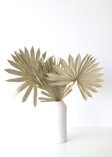 Load image into Gallery viewer, Pack of 5 - Natural Sun Palm Leaves
