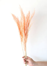 Load image into Gallery viewer, Pack of 6 - Textured Natural Pampas Grass in Pink - 20-30"
