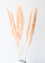 Load image into Gallery viewer, Pack of 6 - Smooth Pink Natural Pampas Grass - 25-29.5"

