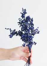 Load image into Gallery viewer, Preserved Pepperberry Bunch in Indigo
