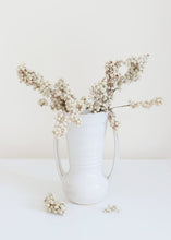 Load image into Gallery viewer, Preserved Pepper Berries in Ivory
