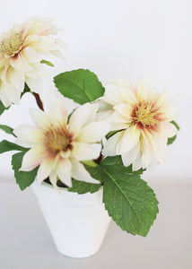 Ivory Fake Dahlia Flowering Plant in Clay Pot - 13"