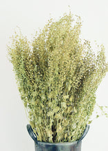 Load image into Gallery viewer, Dried Lepidium Pepper Grass
