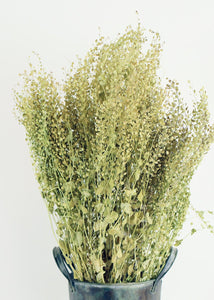 Dried Lepidium Pepper Grass