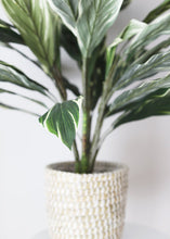 Load image into Gallery viewer, Fake Potted Cordyline Palm Floor House Plant - 40&quot;
