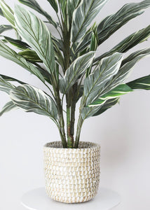 Fake Potted Cordyline Palm Floor House Plant - 40"