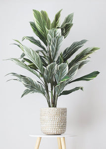 Fake Potted Cordyline Palm Floor House Plant - 40"